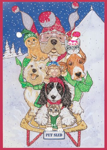 Picture of Pipsqueak Productions C417 Mix Dog With Cat Holiday Boxed Cards