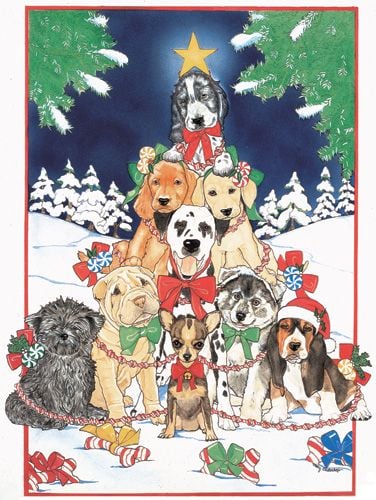 Picture of Pipsqueak Productions C442 Mix Dog  Holiday Boxed Cards