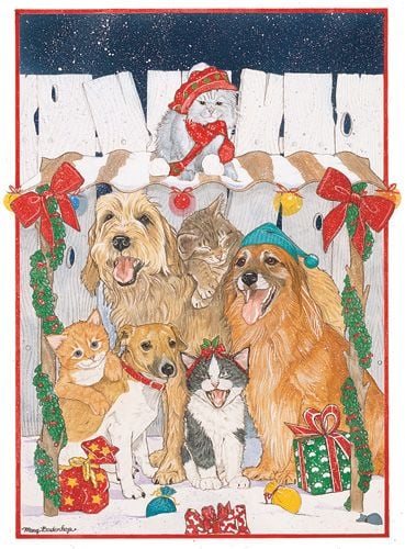 Picture of Pipsqueak Productions C471 Mix Dog With Cat Holiday Boxed Cards