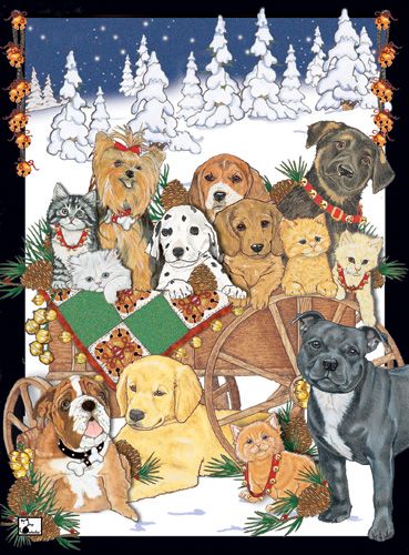 Picture of Pipsqueak Productions C515 Mix Dog With Cat Holiday Boxed Cards