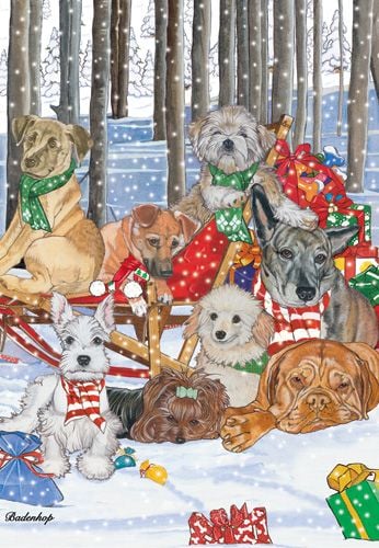 Picture of Pipsqueak Productions C516 Mix Dog  Holiday Boxed Cards
