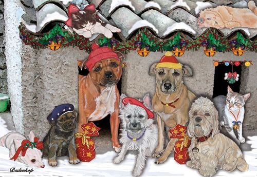 Picture of Pipsqueak Productions C522 Mix Dog With Cat Holiday Boxed Cards