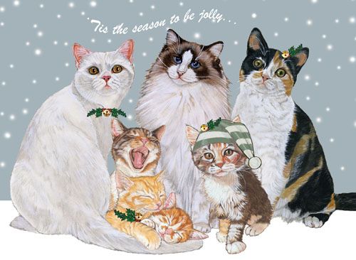 Picture of Pipsqueak Productions C529 Cat Holiday Boxed Cards