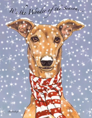 Picture of Pipsqueak Productions C531 Greyhound Holiday Boxed Cards
