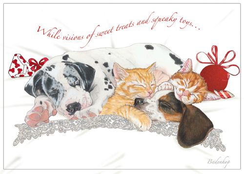 Picture of Pipsqueak Productions C534 Mix Dog With Cat Holiday Boxed Cards