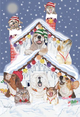 Picture of Pipsqueak Productions C540 Mix Dog With Cat Holiday Boxed Cards