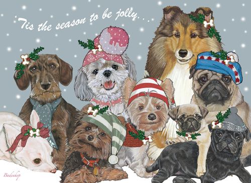 Picture of Pipsqueak Productions C541 Mix Dog  Holiday Boxed Cards