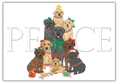 Picture of Pipsqueak Productions C550 Labrador Mix Holiday Boxed Cards