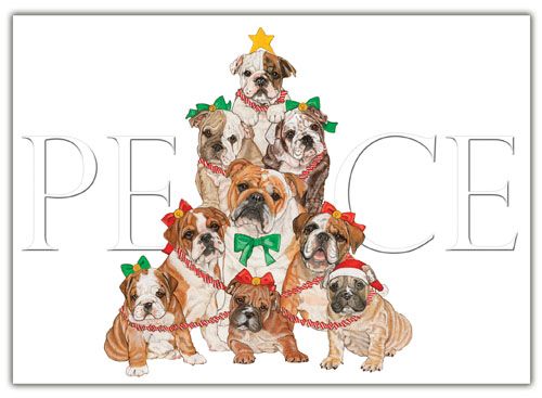 Picture of Pipsqueak Productions C552 Bull Dog Holiday Boxed Cards