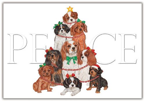 Picture of Pipsqueak Productions C553 Cavalier Holiday Boxed Cards