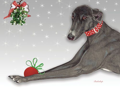 Picture of Pipsqueak Productions C556 Greyhound Holiday Boxed Cards