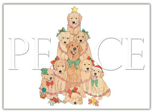 Picture of Pipsqueak Productions C557 Golden Holiday Boxed Cards