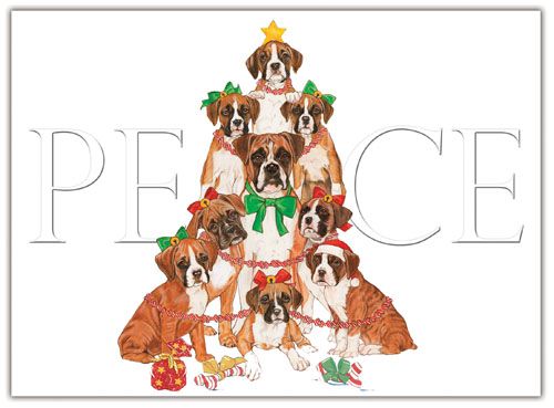 Picture of Pipsqueak Productions C558 Boxer Holiday Boxed Cards