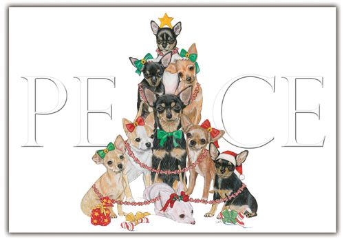 Picture of Pipsqueak Productions C561 Chihuahua Holiday Boxed Cards
