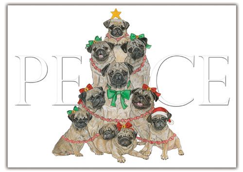Picture of Pipsqueak Productions C563 Pug Holiday Boxed Cards