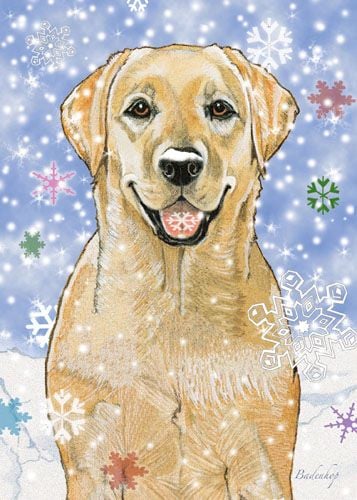 Picture of Pipsqueak Productions C566 Labrador Yellow Holiday Boxed Cards