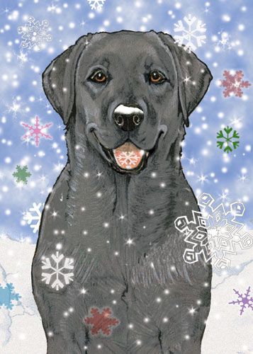 Picture of Pipsqueak Productions C567 Labrador Black Holiday Boxed Cards