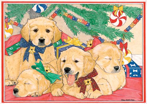 Golden Holiday Boxed Cards