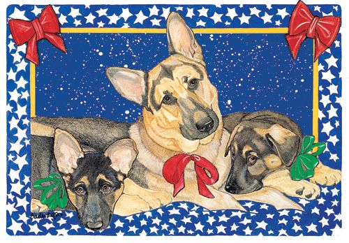 C824 German Shepherd Holiday Boxed Cards