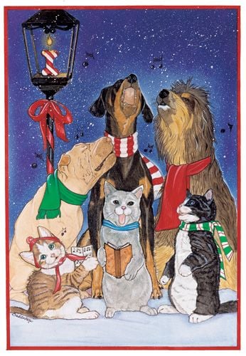 C825 Mix Dog With Cat Holiday Boxed Cards