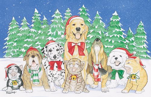 C844 Mix Dog With Cat Holiday Boxed Cards