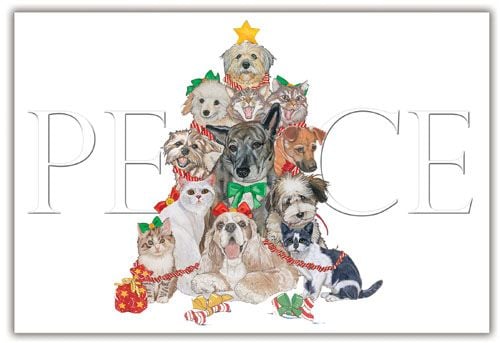 C870 Mix Dog With Cat Holiday Boxed Cards
