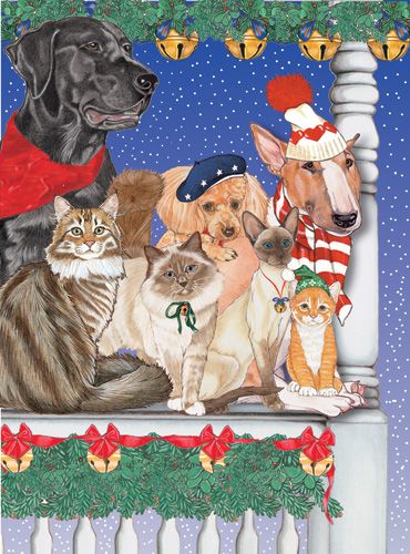 C875 Mix Dog With Cat Holiday Boxed Cards