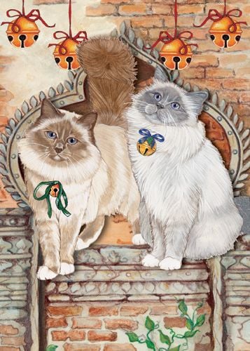 Cat Holiday Boxed Cards