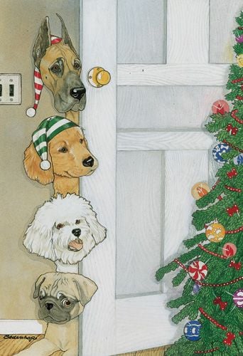 C897 Mix Dog  Holiday Boxed Cards