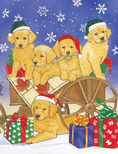 Golden Holiday Boxed Cards