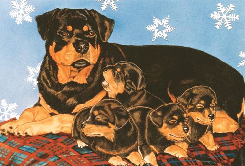 C906 Rottweiler Holiday Boxed Cards
