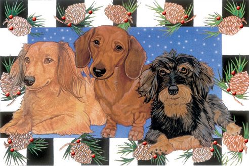 Picture of Pipsqueak Productions C928 Dachshund Holiday Boxed Cards
