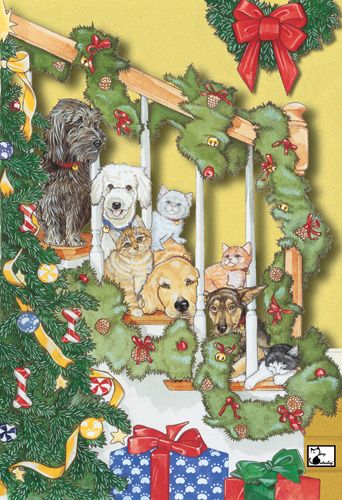 Picture of Pipsqueak Productions C964 Mix Dog With Cat Holiday Boxed Cards