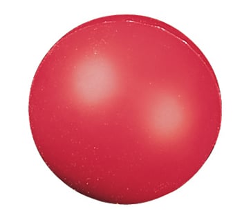 Picture of Champion Sports CHSHD4 High Density Coated Foam Ball 4In