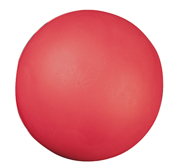 Picture of Champion Sports CHSHD85 High Density Coated Foam Ball 8In