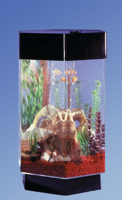 Picture of Midwest Tropical TT-800 12 in. Hexagon Aqua Scape