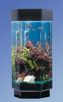 Picture of Midwest Tropical TT-1500 15.5 in. Hexagon Aqua Scape