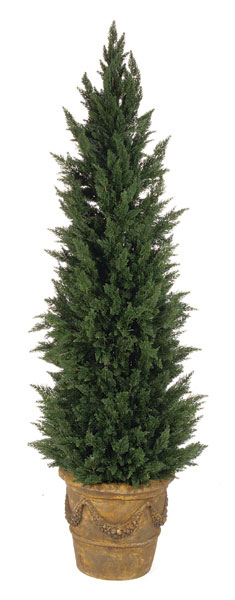 A-125 7 ft. Cypress Tree