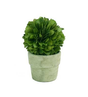 Picture of Autograph Foliages AUV-102770 4 ft. Boxwood Ball Topiary