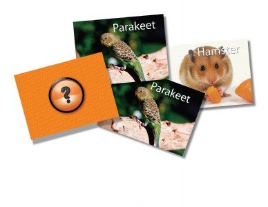 Picture of Stages Learning Materials SLM221 Memory- Pets