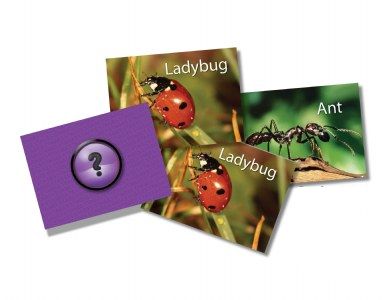 Picture of Stages Learning Materials SLM223 Memory- Insects & Bugs
