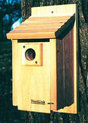 Picture of WoodLink BB3 15 in. Traditional Bluebird House