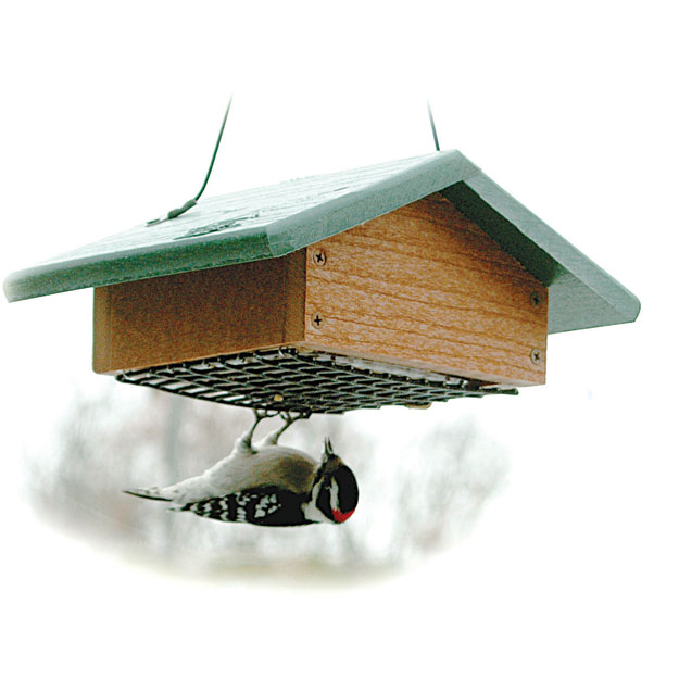 Picture of WoodLink GGSBF Upside Down Suet Feeder