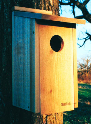 Picture of WoodLink OWL-KESTREL Screech Owl-Kestrel House