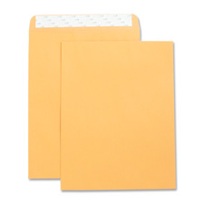Picture of Business Source BSN42121 Catalog Envelopes- Self Seal- Plain- 10in.x13in.- 2- Kraft