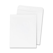 Catalog Envelope- White Wove - 6in.x9in.