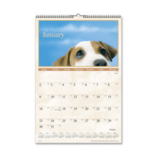 Picture of At-A-Glance AAGDMW16728 Monthly Wall Calendar- Jan-Dec- Puppy Images- 15-.50in.x22-.75in.