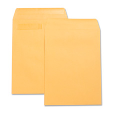 Picture of Business Source BSN42123 Catalog Envelopes- w-Adhesive Strip- Plain- 9in.x12in.- Kft