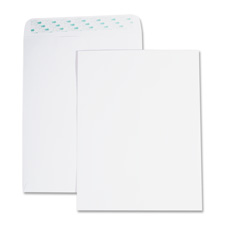 Picture of Business Source BSN65451 Catalog Envelopes- Removable Strip- No.10- 10in.x13in.- WE