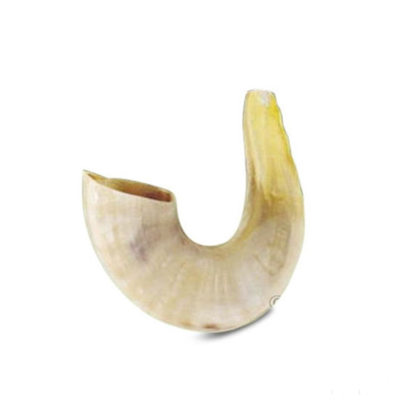 SH-C Small Shofar - 11 in.